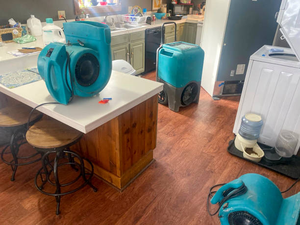 Best Flood damage cleanup  in Belpre, OH